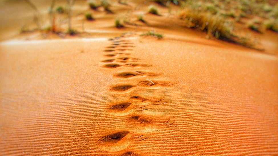 The Order of&nbsp;Time