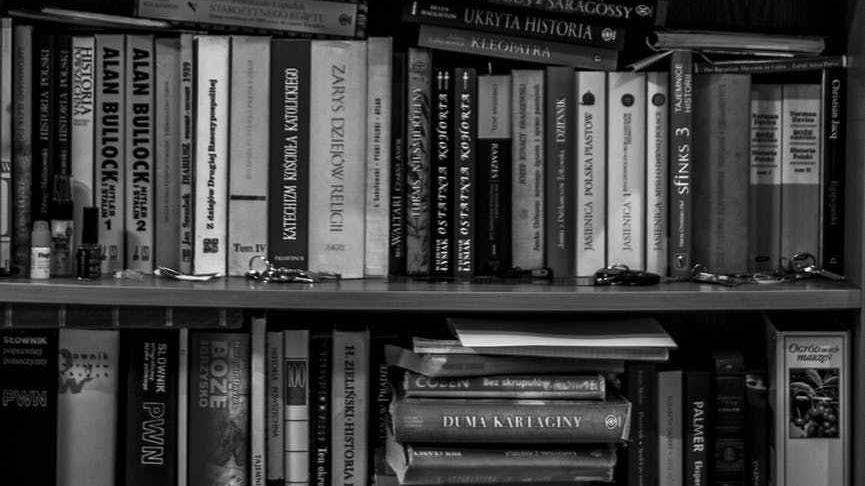 Princípios de Tradução para os Livros&nbsp;Santos